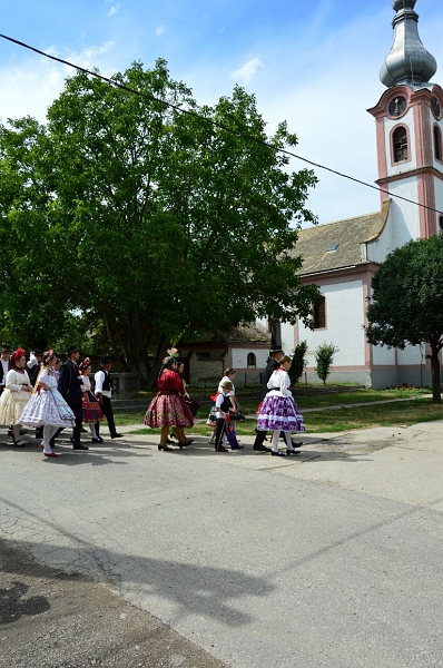 DSC_0271 (Medium).JPG